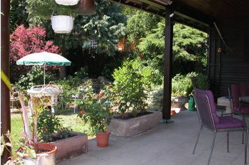 Cabană Landau in der Pfalz 3